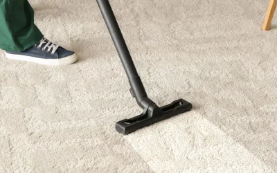 Benefits of Professional Carpet Cleaning for Homes and Businesses